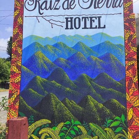 Hotel Raiz De Sierra Matlapa エクステリア 写真