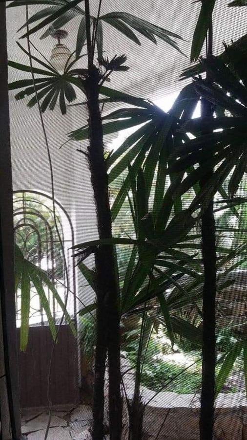 Hotel Raiz De Sierra Matlapa エクステリア 写真