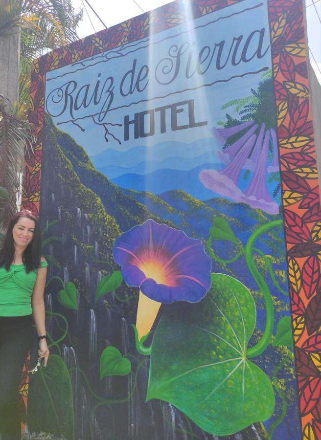 Hotel Raiz De Sierra Matlapa エクステリア 写真