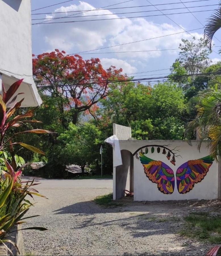 Hotel Raiz De Sierra Matlapa エクステリア 写真