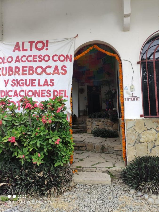 Hotel Raiz De Sierra Matlapa エクステリア 写真