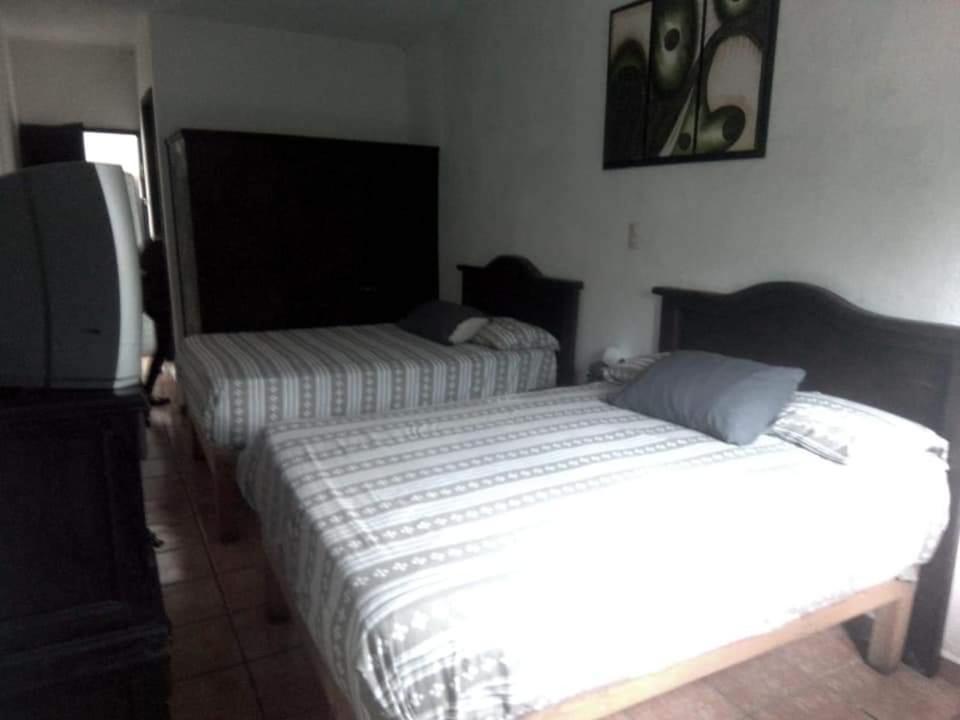 Hotel Raiz De Sierra Matlapa エクステリア 写真